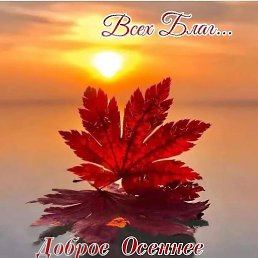 ����, �����, 52 ����