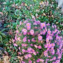 ���� ���������, ������, 60 ��� - ��������� 31 ����� 2023 � ������ ���� ����������