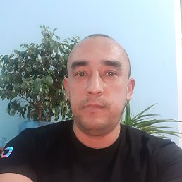 ���� ������, �����, 42 ���� - ��������� 29 ��� 2023