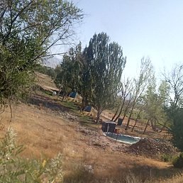 ����, ������, 49 ���