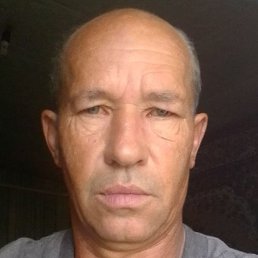 �������, ������, 37 ���