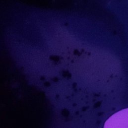 ��������, ������, 23 ����