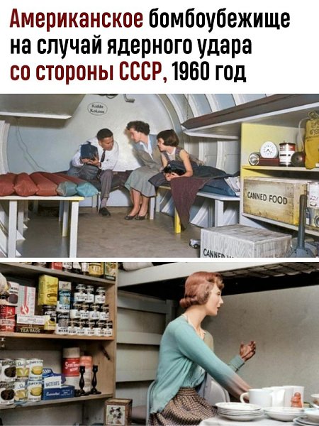В стране процветала ядерная паранойя, многие фирмы предлагали свои услуги по строительству небольших ...