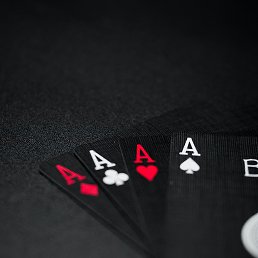 ���� ��������� ��������� ��������, ������, 39 ��� - ��������� 17 ������� 2023