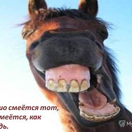 -228-, 