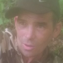 �����, �����������, 43 ����