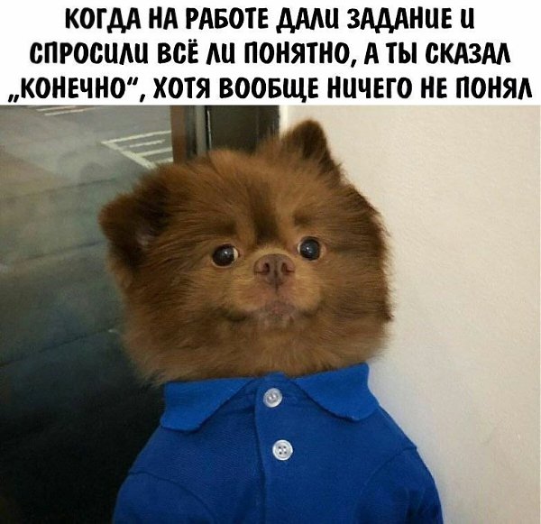    - 1  2023  01:25