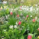  , -, 76  -  10  2023    