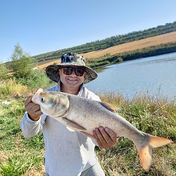 �������, �������, 55 ���