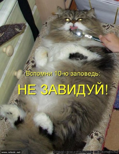   :  ,  . //   ,    ,  ... - 4
