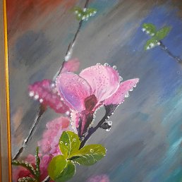 ���� ��������, �����, 53 ���� - ��������� 21 ��� 2023