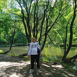 ���������, �����-���������, 41 ���