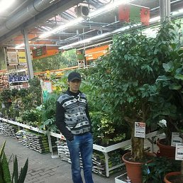 �����, �����, 38 ���