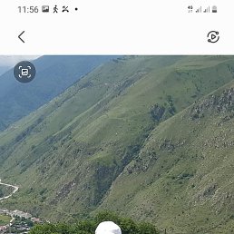 �����, ���������, 37 ���