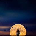 ���� �����, ��� - ��������� 15 ������� 2023 � ������ ���� ����������