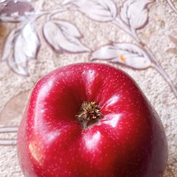 ���� Ansor, ������, 24 ���� - ��������� 18 ������� 2023