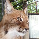 ���� ������, ������ �������� - ��������� 23 �������� 2023 � ������ ���� ����������