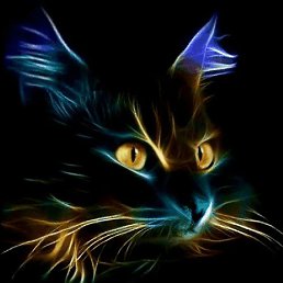 ������, ���������, 55 ���