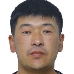 �����, ������, 41 ���