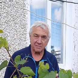 ���������, �����������, 78 ���