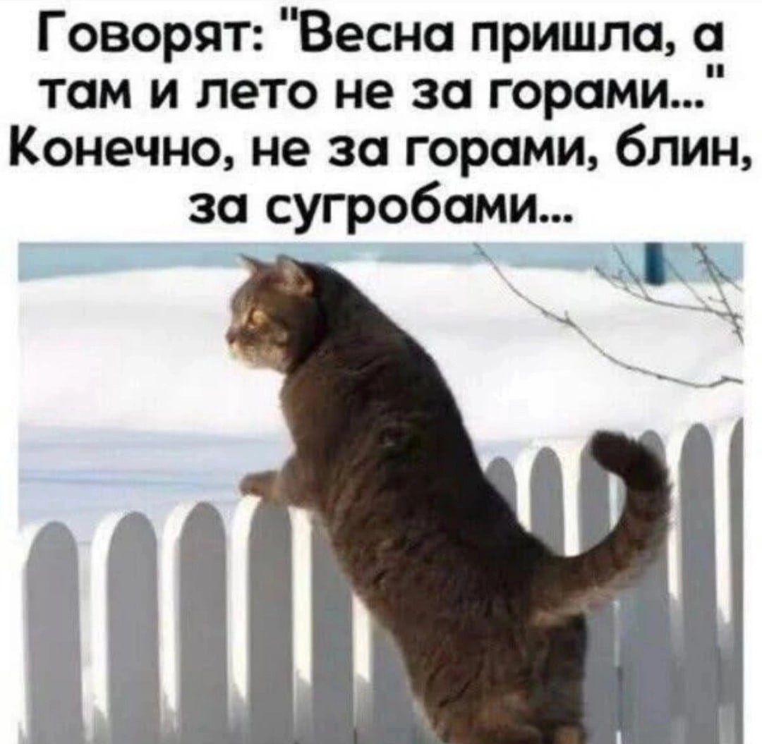  - 17  2023  17:52