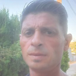 Dimir, �����, 47 ���