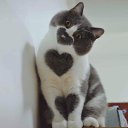 ���� Viktor, ����, 59 ��� - ��������� 5 ����� 2023