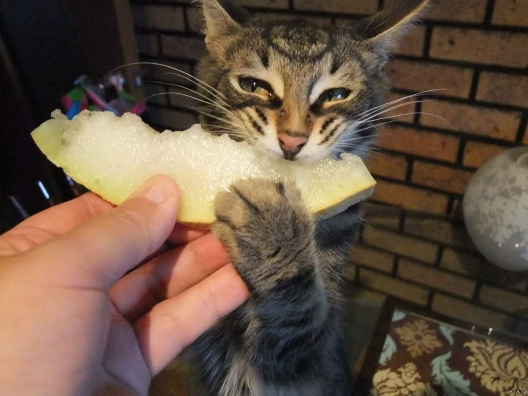  , ,    , .     .    ...