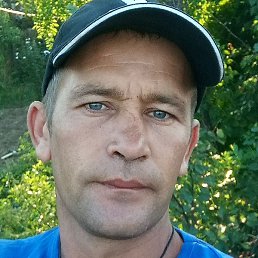 �����, ����, 41 ���