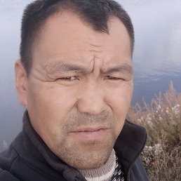 �����, ������, 37 ���