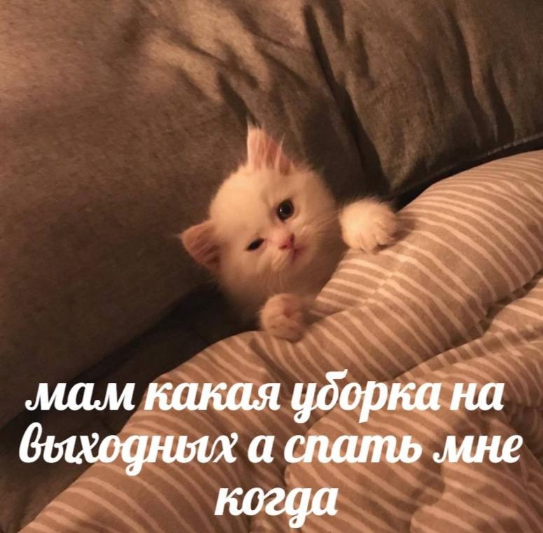    - 21  2023  13:31