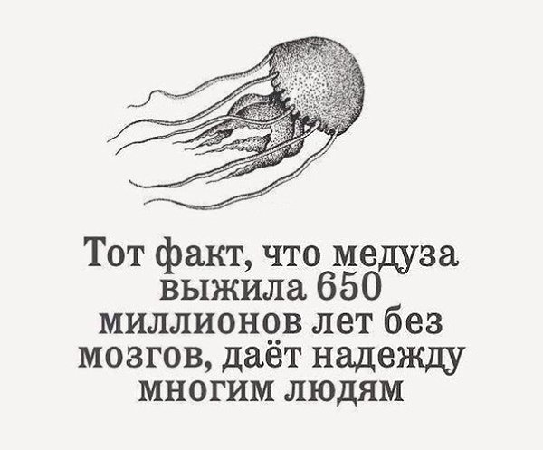 ������� ������ ����������� - 21 ������� 2023 � 05:04