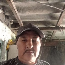 �����, ������, 59 ���