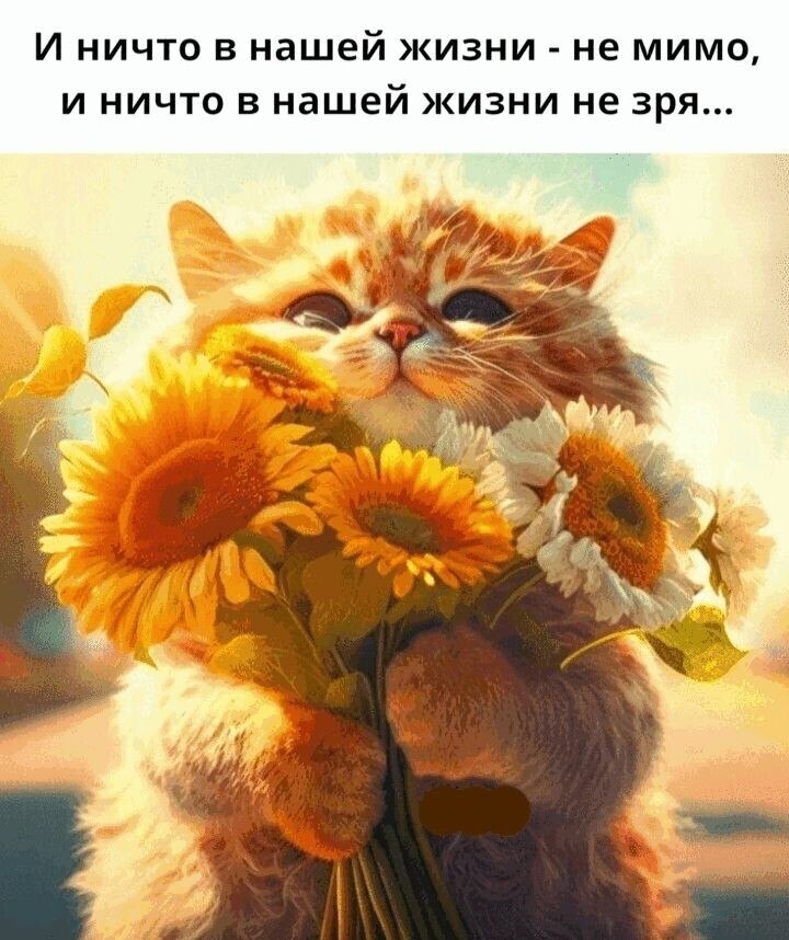 >^..^<