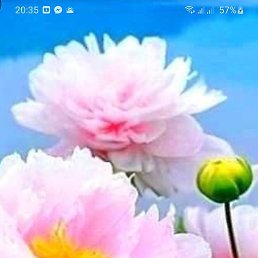 ��� ������, ����, 57 ���