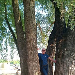 ����, ������, 64 ����