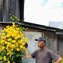 ���� �������, ������, 65 ��� - ��������� 1 �������� 2023 � ������ ���� ����������