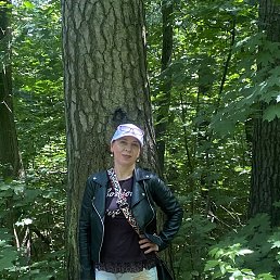 , 54, 