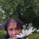  ,  , 52  -  12  2023    