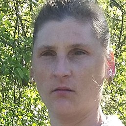 ����, �������, 38 ���