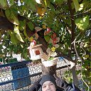 ���� ���, ���������, 41 ��� - ��������� 25 ���� 2023