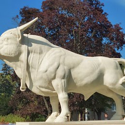 ����, �������, 30 ���