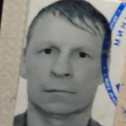 �����, �������, 41 ���