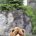 ���� Mirotwopiz, �������, 57 ��� - ��������� 29 ����� 2023