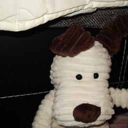 Kate, ����, 21 ���