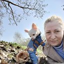 ���� ����, ��������, 54 ���� - ��������� 19 ������ 2023 � ������ ���� ����������