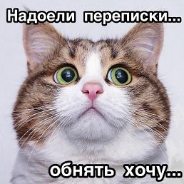 �������, ������, 47 ���
