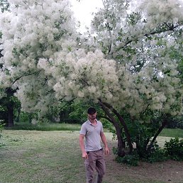 ����������, �������, 31 ���