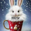 ���� ����, ������, 50 ��� - ��������� 27 ������� 2023 � ������ ���� ����������