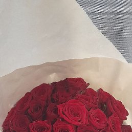 �����, �����, 42 ����